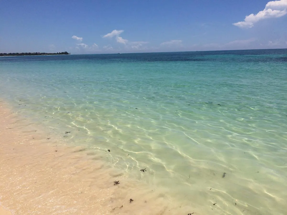 Casa Amor Hotel Playa del Carmen Pensjonat