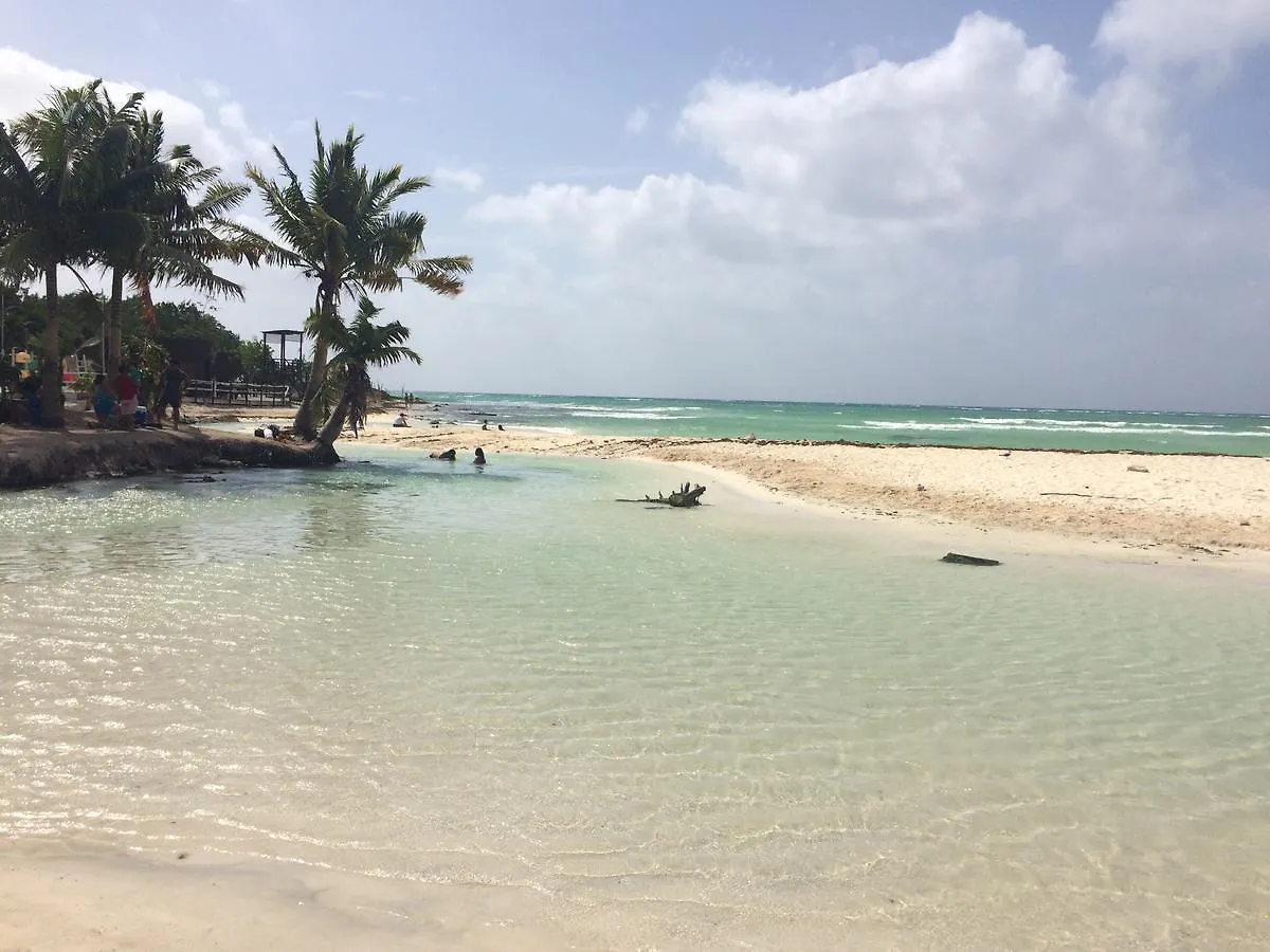 Pensjonat Casa Amor Hotel Playa del Carmen Meksyk